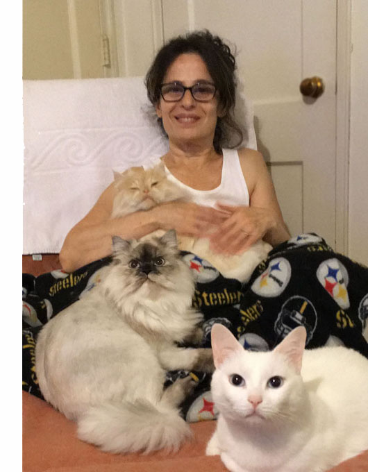 Jomania is sitting in a recliner and covered with a blanket with Steelers logos.  She is holding a long-haired cat, and two other cats are sitting on her legs (both are white, one is long-haired and the other is looking at us).